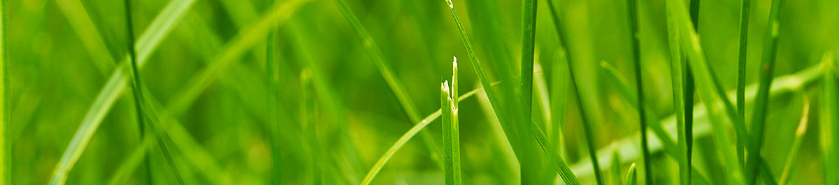 不间断呼叫软件